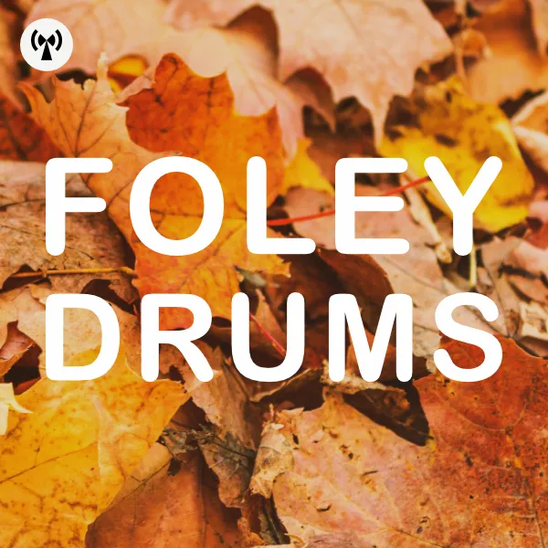 Noiiz – Foley Drums (WAV)-soundhoard