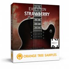 Orange Tree Samples Evolution Strawberry v1.2.5 KONTAKT-soundhoard