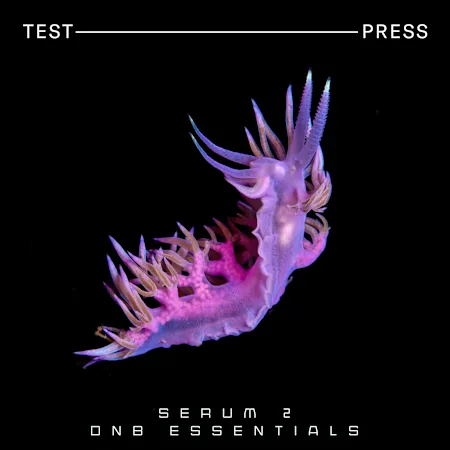 Test Press – Serum 2 DnB Essentials (WAV, MIDI, SERUM 2 PRESETS)-soundhoard